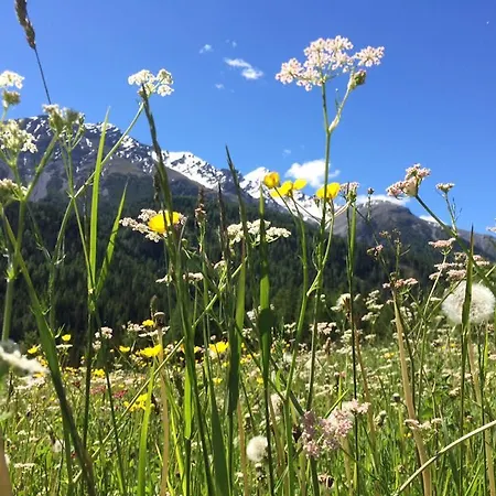 Allegra 3 Stern Superior