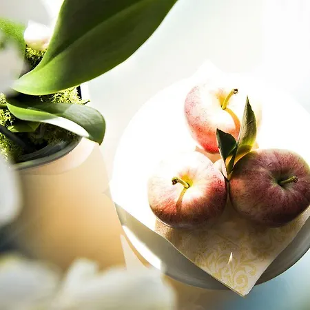 Allegra 3 Stern Superior 3*